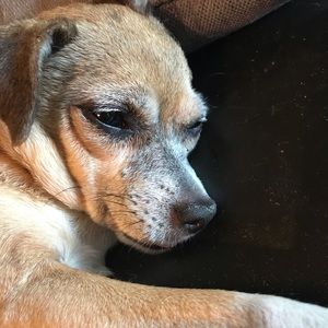 Meet your Posher, Jenn